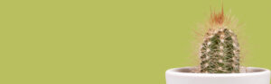 Athena Estetica, laser epilazione permanente